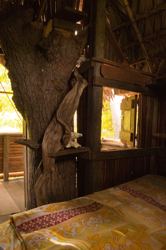 Intérieur du Cocoon