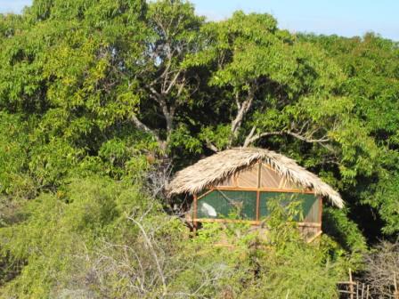 bungalow6 bung6