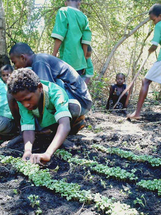 eco senteurs