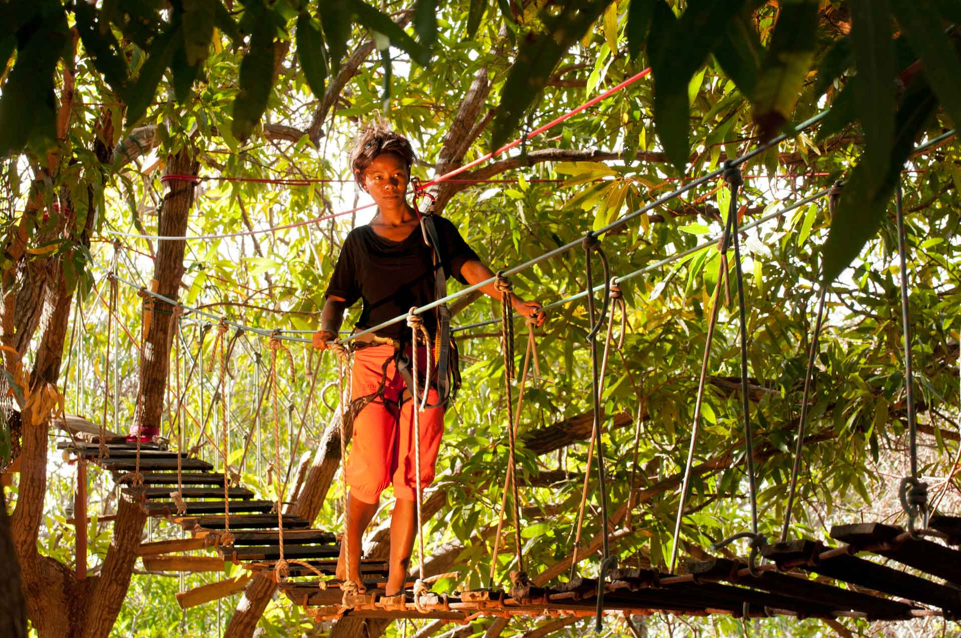 parcoursaventure Jungle Park Adventure parcoursaventure Jungle Park Adventure