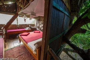 Junglehouse2