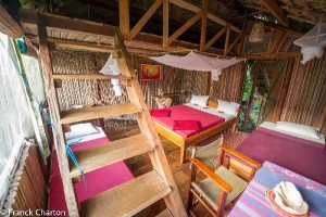 JungleHouse4